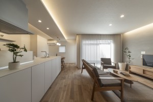 simple and luxurious