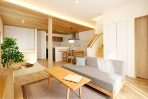 Balance & Fit ～ちょうどよく整った家～